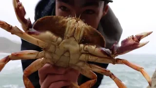 Catch and Cook Dungeness Crab on the California Coast