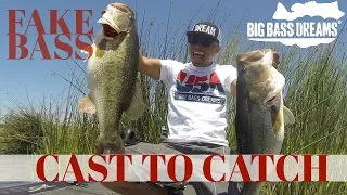 12lb Swimbait Bass Huddleston Deluxe Cast to Catch to Scale