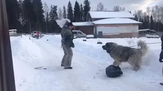 Байрак Азскас Ухват.