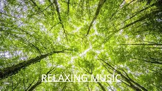 Beautiful relaxing magic music!!! Красивая, просто волшебная музыка!!!