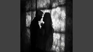 I Saw a Shadow Through the Upstairs Window of Two People Wrapped in a Secret Moment I Wasn't...