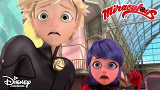 Song and Dance 🎤 | Miraculous 🐞 | Disney Channel | Disney Arabia