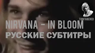 NIRVANA - IN BLOOM ПЕРЕВОД (Русские субтитры)