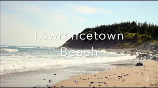 Relaxing Ocean Waves & Beach Sounds (Stereo Field Recording)