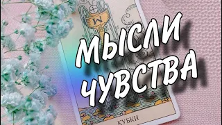 🥰🥰🥰 МЫСЛИ И ЧУВСТВА МУЖЧИНЫ 🥰🥰🥰 #раскладтаро #таро #мысличувствадействия