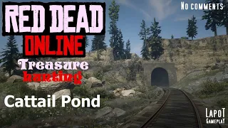 Red Dead Online. Treasure hunting. Cattail Pond / Карта сокровищ Кэттейл-Понд