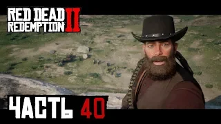 АРТУР В ПЛЕНУ У О ДРИСКОЛЛОВ - прохождение Red Dead Redemption 2 часть 40