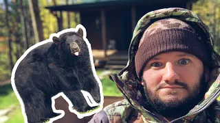 OFF GRID CABIN/BEAR TROUBLE ON THE MOUNTAIN EP.5