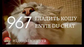 Envie du chat гладить кошку #967 май 13 2024 #1день1минута #франциясегодня #кототерапия #бретань