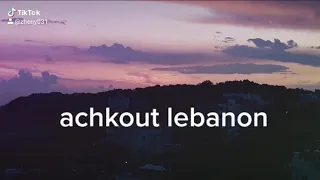 beauty of lebanon