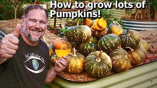 5 Tips How to Grow Ton of Pumpkins at Home