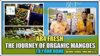 AR4 Fresh Organic Mangoes In Hyderabad | Biodynamic Mango Farming | Hybiz tv