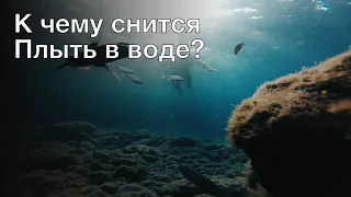 К чему снится плыть в воде? Толкование сна и его значение по сонникам Хассе и Ванги