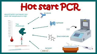 Hot start PCR || principle and usage