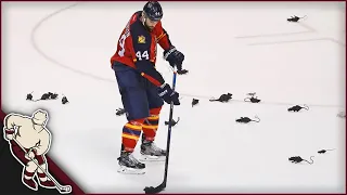 NHL: Stuff Thrown on the Ice