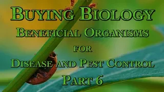 Buying Biology: Beneficial Organisms for Disease and Pest Control Part 6