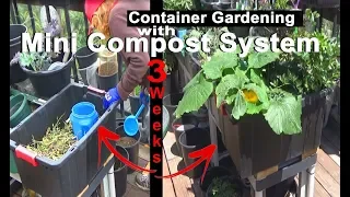 Set Up-GROWING Container Gardening with Compost in Place-Mini Worm Farm-Plant Food Tea-Hummingbirds