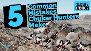 Chukar Hunting Tips - 5 Common Mistakes Chukar Hunters Make!