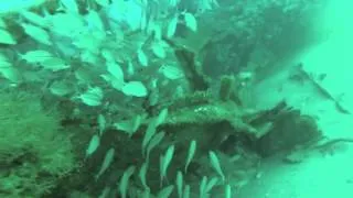 GoPro HD Scuba Diving in OBX