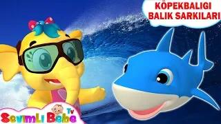 Bebek Balina | Türkçe Baby Shark Çocuk Şarkısı | Köpekbalığı Balik Şarkıları | SevimliBebe TV