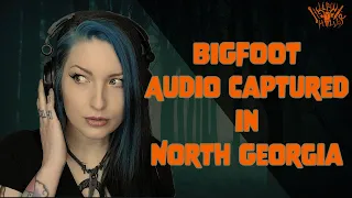 BIGFOOT AUDIO CAPTURED IN NORTH GEORGIA? - sasquatch cryptid cryptozoology