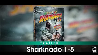 #SchleFaZ Sharknado 1-5 (DVD Trailer)