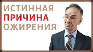 Психосоматика лишнего веса. Отличия психологии ожирения у мужчин и женщин. Психосоматика переедания