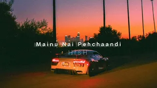 Mainu Nai Pehchaandi (slowed + reverb)