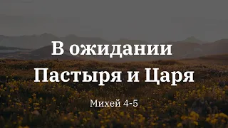 "В ожидании Пастыря и Царя" | Владимир Мицук