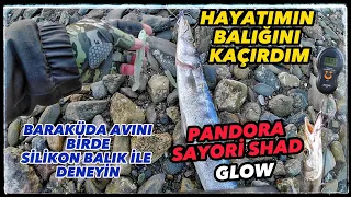 SİLİKON İLE BALIK AVI. BARAKÜDA BU SİLİKONU ÇOK SEVDİ. PANDORA SAYORİ SHAD #lrf #balıkavıvideoları