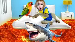 KiKi Monkey challenges with The Floor Is Lava with parrot & Coca Fanta Pepsi Jelly| KUDO ANIMAL KIKI