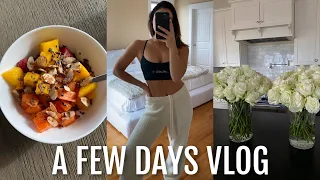 VLOG: grocery shop with me, mini clothing haul + making homemade pasta