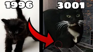 Evolution of Maxwell the Cat Part 1