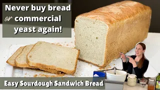 Easy Sourdough Sandwich Bread Recipe - Never buy bread again! ~ Large Homesteading Family