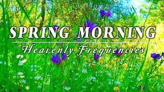 Relaxing Nature Ambience Meditation 🌾 8h  G E N T L E - B R E E Z E  🌾 Healing Sounds of SPRING