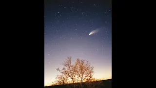 Comet Hale–Bopp