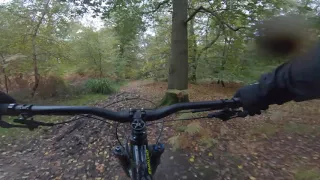 Funny ride epping forest 26.10.2019