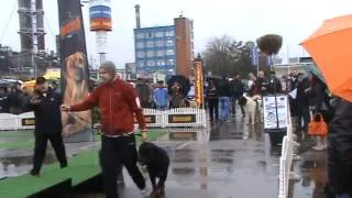 Rottweiller attacks another dog at dog show