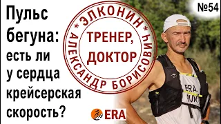 Пульс бегуна – есть ли у сердца «крейсерская скорость»? Советы тренера про пульсовые зоны для бега