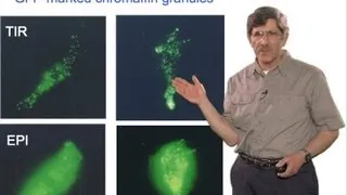 Microscopy: Total Internal Reflection Fluorescence (TIRF) Microscopy (Daniel Axelrod)