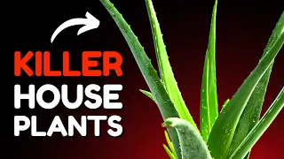 20 Most Dangerous Plants In Your Home