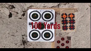 SAVAGE 110 Predator 22-250 100 Yard Group