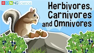 Herbivores, Carnivores and Omnivores