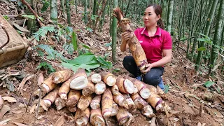 60 Days: Building A Bamboo House in 2024 - Harvest Bamboo Shoots Market Sell - Cooking