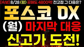 [포스코DX] 8/28 (월) 신고가 도전!