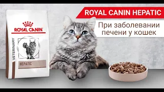 Сухой корм Royal Canin Hepatic при заболевании печени у кошек