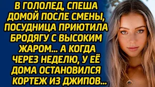 В гололед, спеша домой после смены, посудница приютила бродягу с высоким жаром … А через неделю...