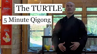 The Turtle | 5 Minute Qigong to Raise Up Energy With the Whole Body