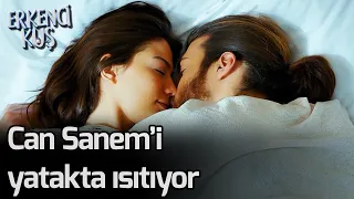 Erkenci Kuş | Can Yatakta Sanem'i Isıtıyor!