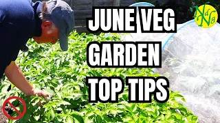 Boost Your Harvest: Top Tips for June! || Best tips Vegetables to Plant & Grow in June